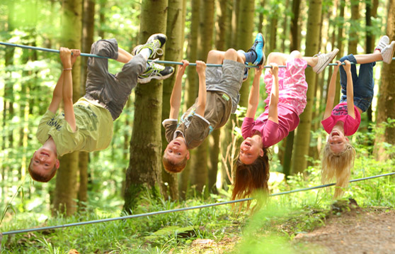 Wald- und Erlebnispfad