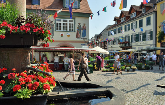 Wochenmarkt samstags ums Rathaus