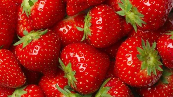 Erdbeeren