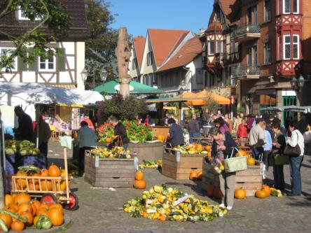 Kürbismarkt